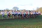 Senior mens 2025 Northern Cross Country Champs, Tatton Park, Knutsford, Cheshire. Photo: David T. Hewitson/Sports for All Pics